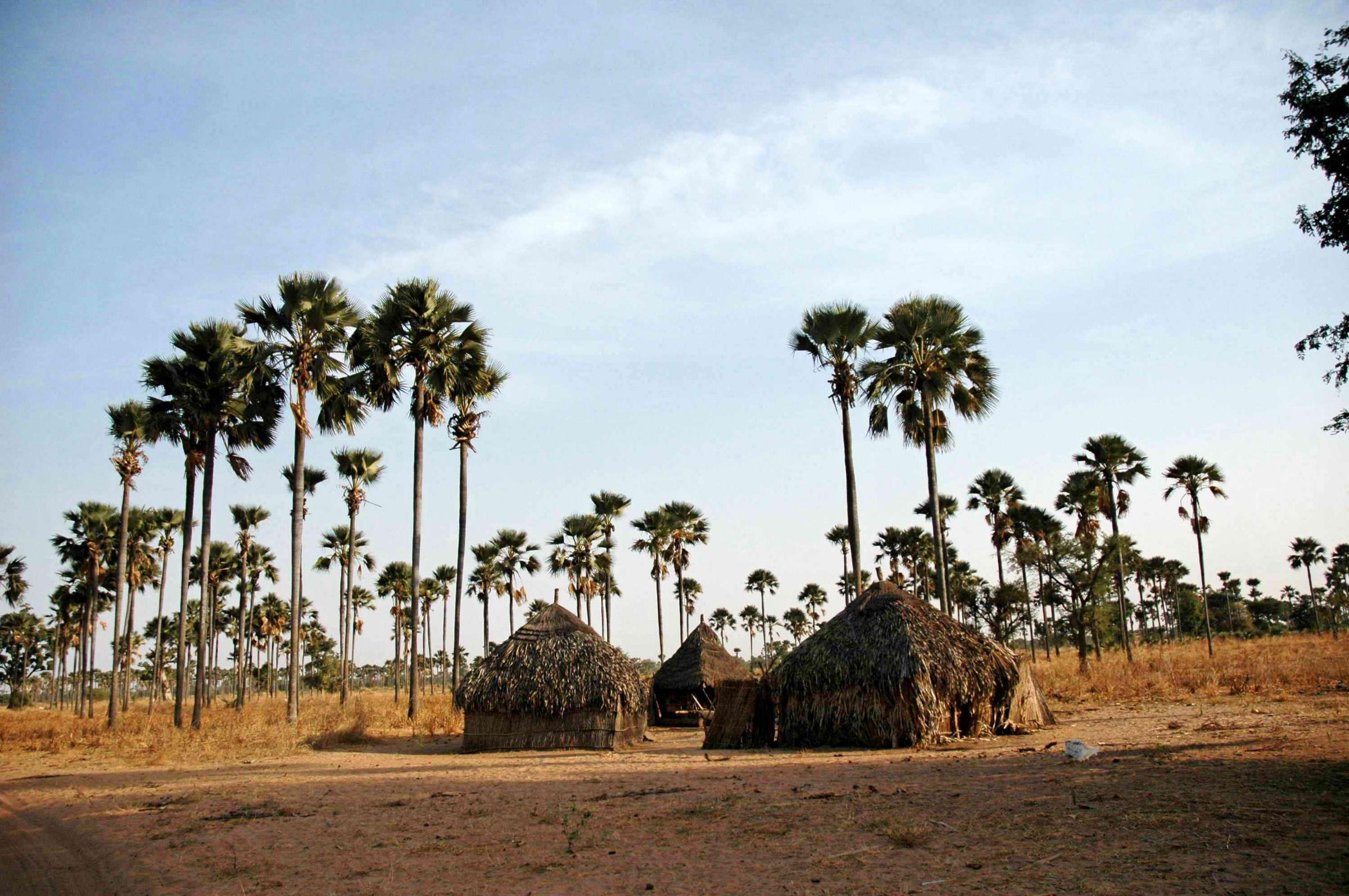Senegal - Lago Rosa 39 (4)