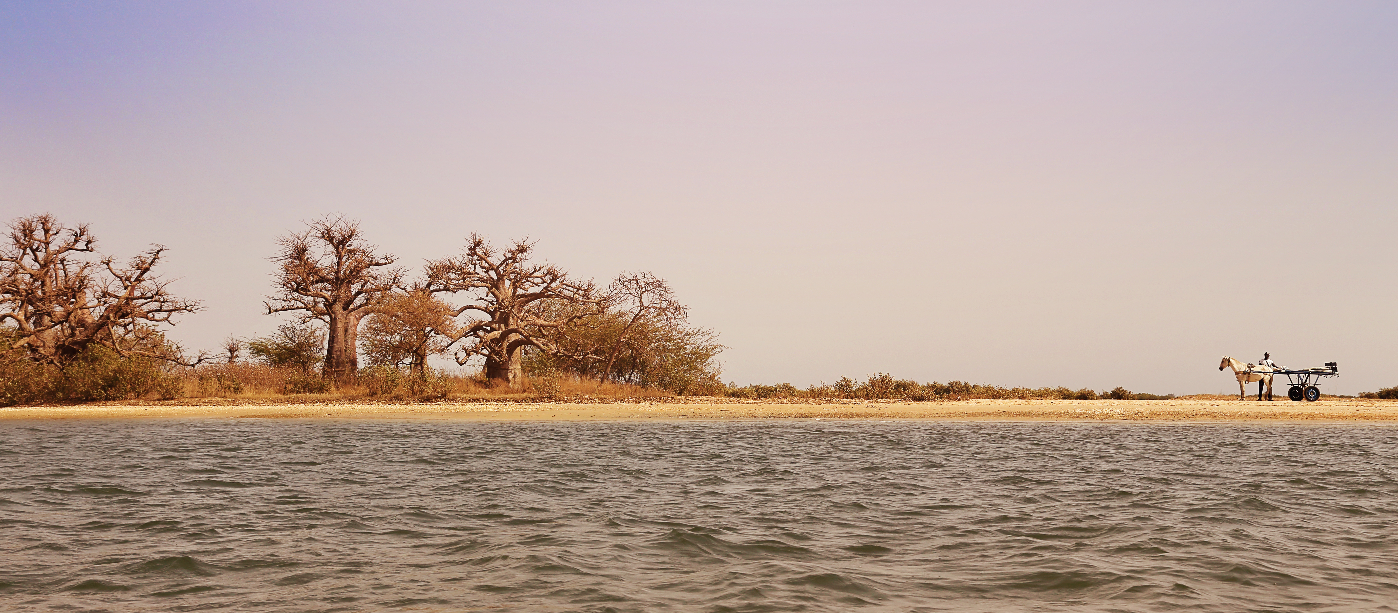 Senegal - senegal_pag33