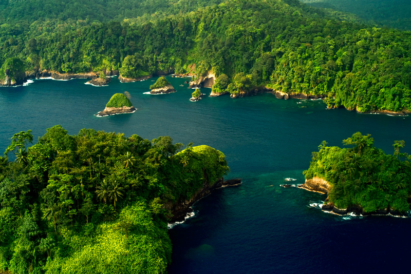 STP Falcon Gp. Picture 106